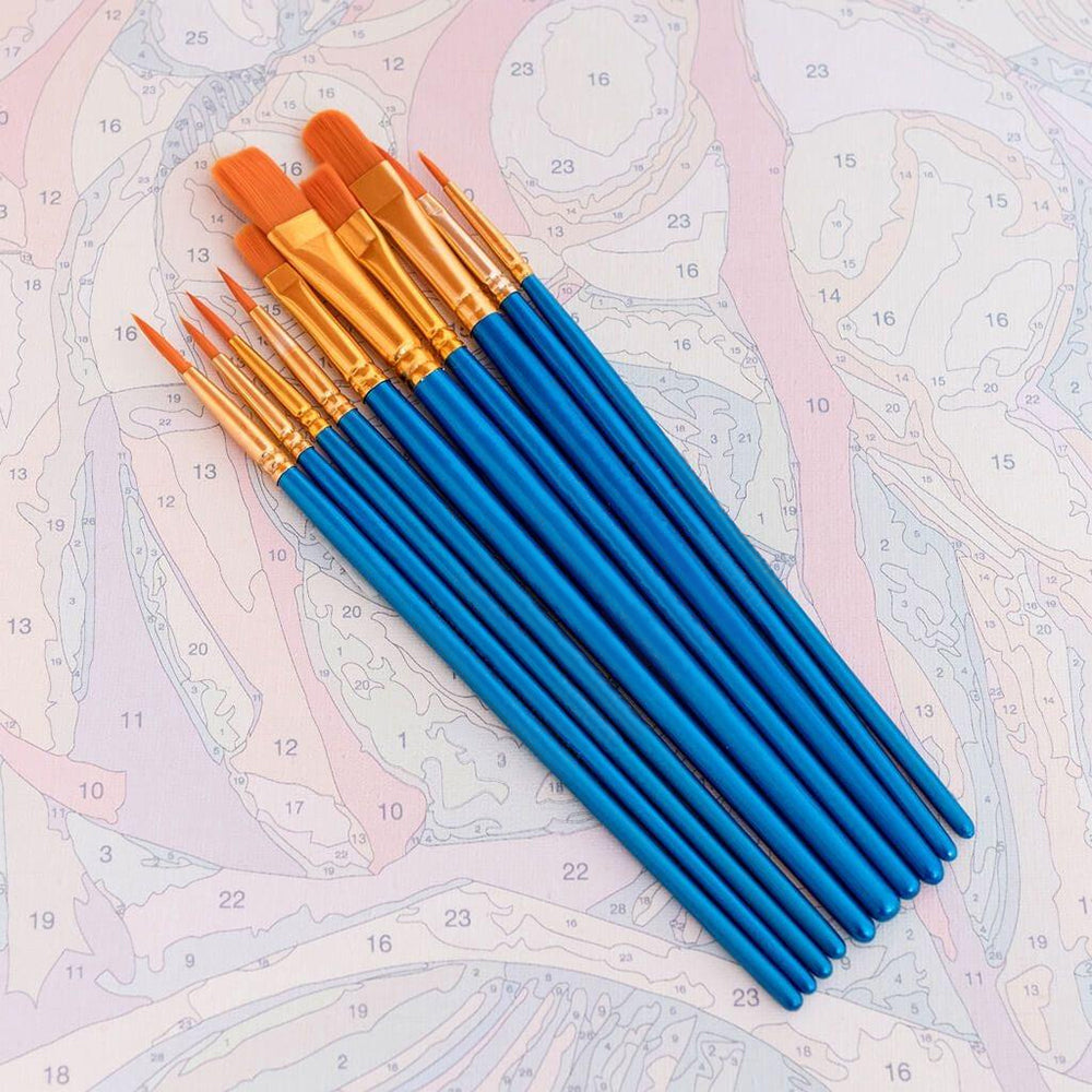 Sada profesionálních kartáčů (10 ks)