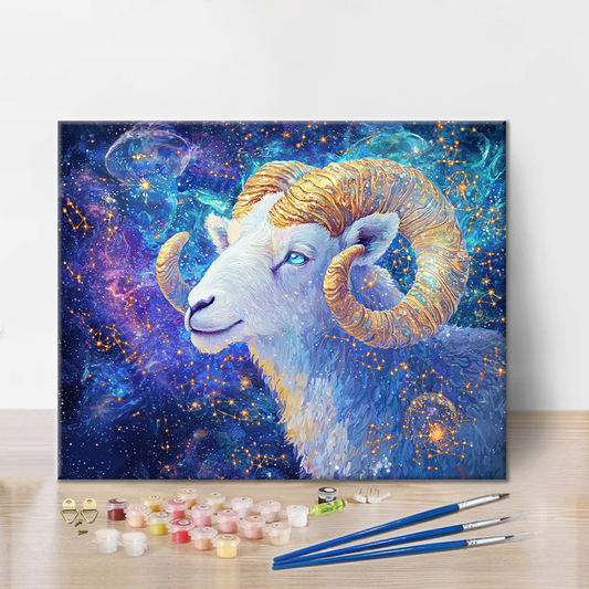 Beran - Malování podle čísel