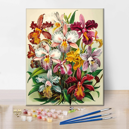 Královské Orchideje - Malování podle Čísel