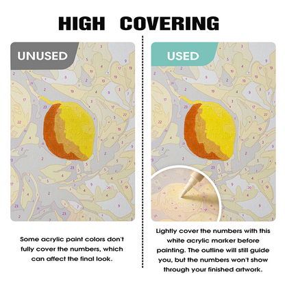 Bílé akrylové fixy (2 ks)