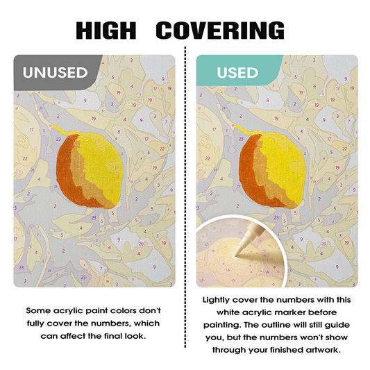 Bílé akrylové fixy (2 ks)