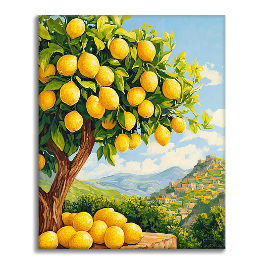 Citroník - Malování podle čísel