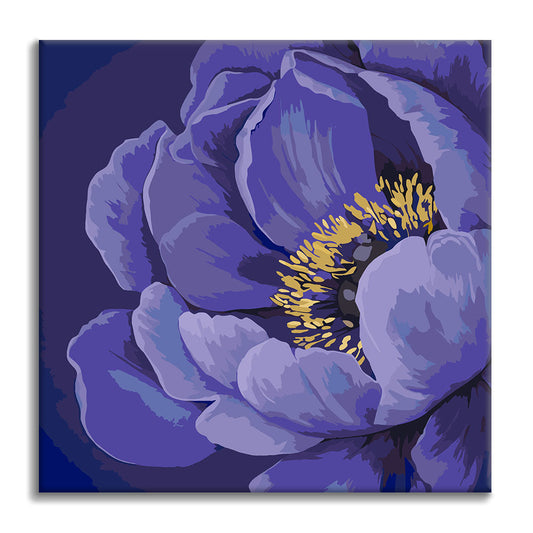 Půlnoční květ - Mini malování podle čísel