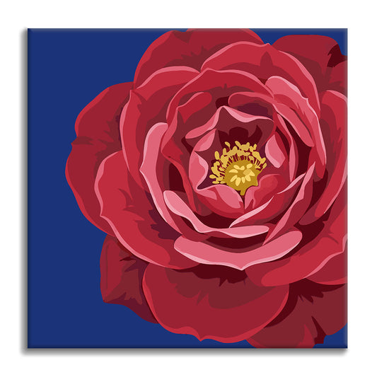 Královská karmínová a azurová - Mini malování podle čísel