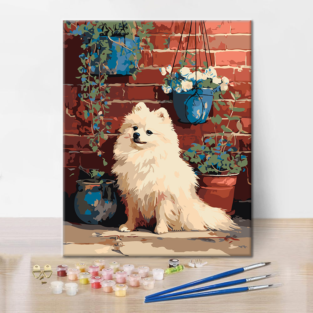 Pomeranian u cihlové zdi – Malování podle čísel