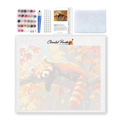 Spící červená panda – Malování podle čísel
